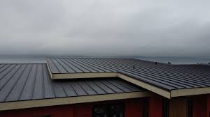 Best Metal Roofing Installation  in , AK